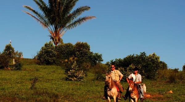 Auf den Spuren des Amazonas