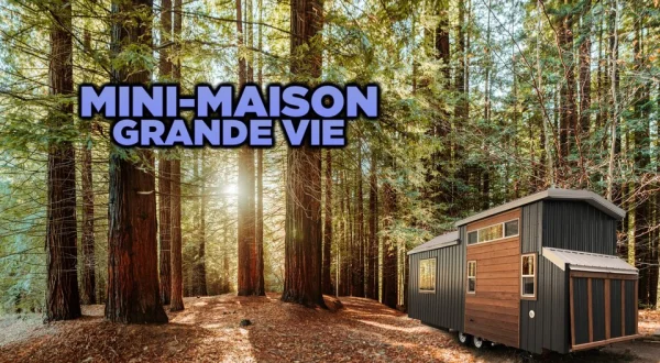 Mini-maison: grande vie