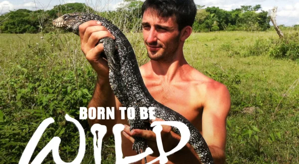 Born to be Wild