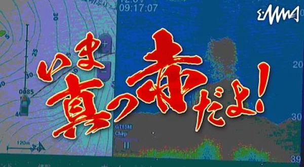 いま真っ赤だよ！ 15 街道釣行録 ～水戸街道～