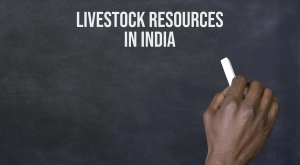 लाइव्स्टाक रिसोर्सस इन इंडिया