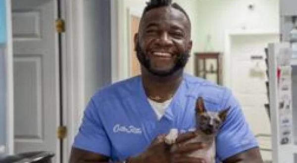 Critter Fixers : Vétos de choc