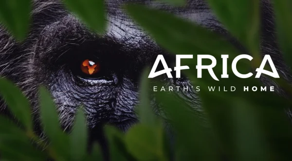 Africa Earth's Wild Home
