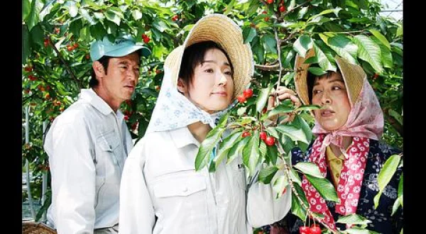 農家の嫁は弁護士！神谷純子のふるさと事件簿３ 出演：浅野ゆう子