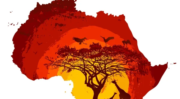 African chroniques