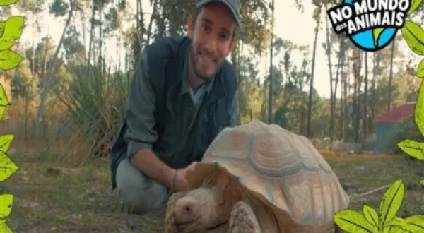 No Mundo dos Animais