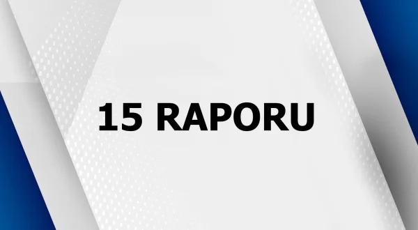 15 Raporu