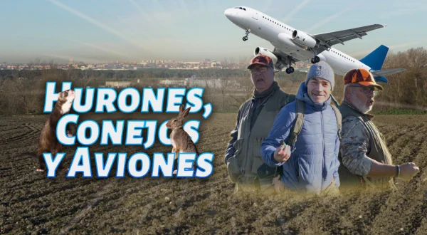 Hurones conejos y aviones