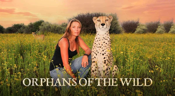 Ορφανά της Άγριας Φύσης | Orphans of the Wild