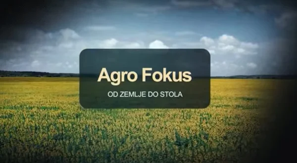 AgroFokus (od njive do stola)