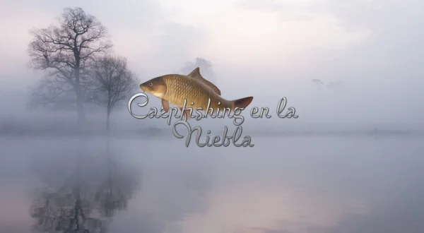 Carpfishing En La Niebla