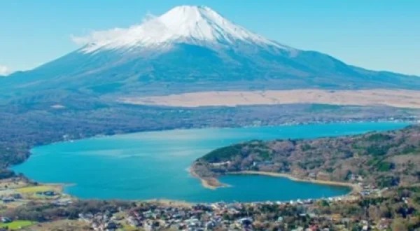 Dig More Japan!