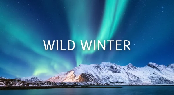 Ekstrem vinter