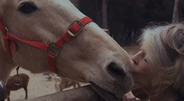 Bardot