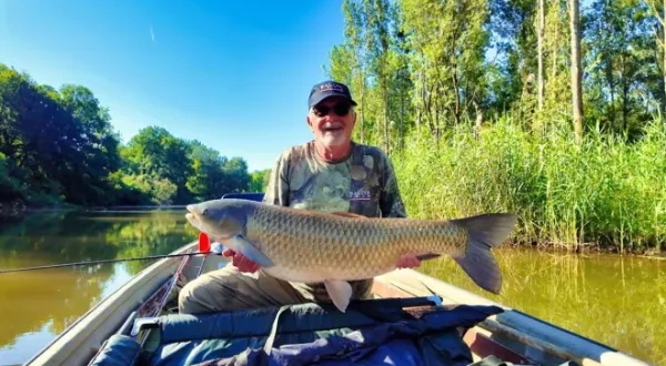 Amur auf die heisse Tour - Ein Kraftpaket aus der Donauau