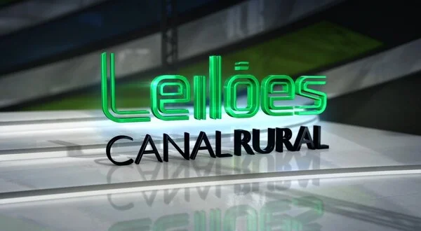 Leilão