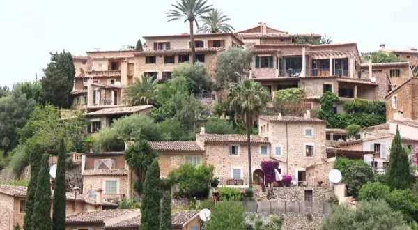 El escarabajo verde