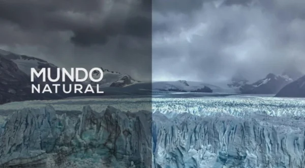 Mundo natural