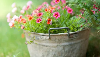 Schnittgut. Alles aus dem Garten