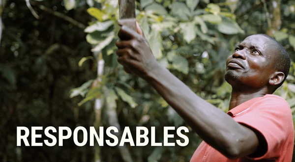 Responsables