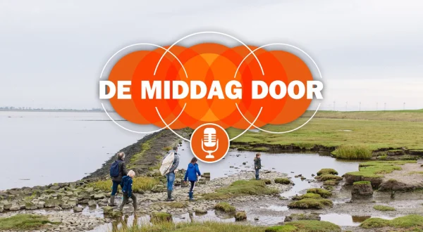 De middag door