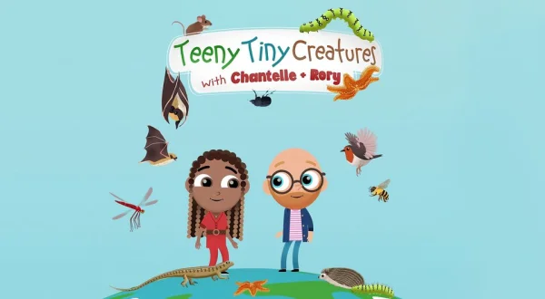 Teeny Tiny Creatures