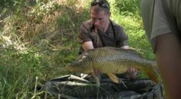 Une amitié, de carpes en carpes