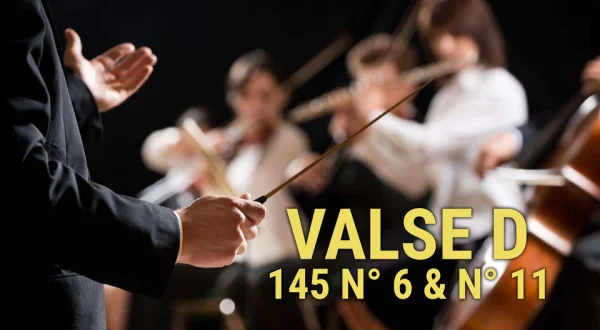 Valse D 145 n° 6 & n° 11