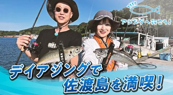 アジングへ行こう！ 56 夏の佐渡島