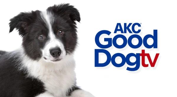 AKC Good Dog TV