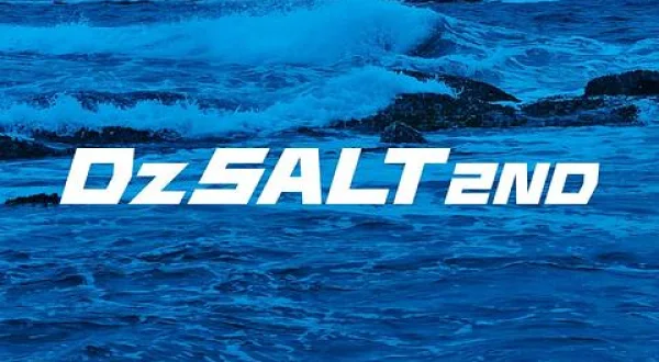 Dz SALT 2ND 54 ライトゲーム
