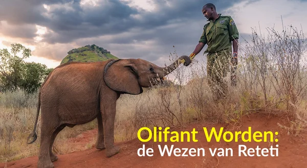 Olifant Worden: de Wezen van Reteti