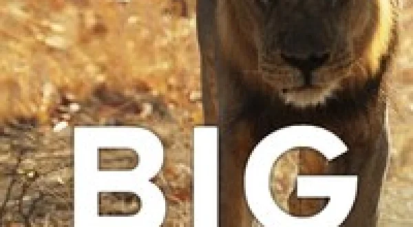 Big Cat Country