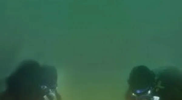 Gold Divers