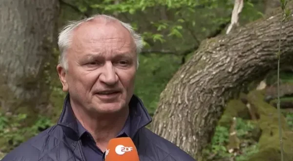 mein ausland
