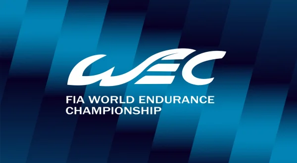 Endurance car racing: Uncovered