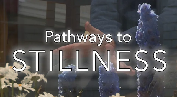 Pathways to Stillness
