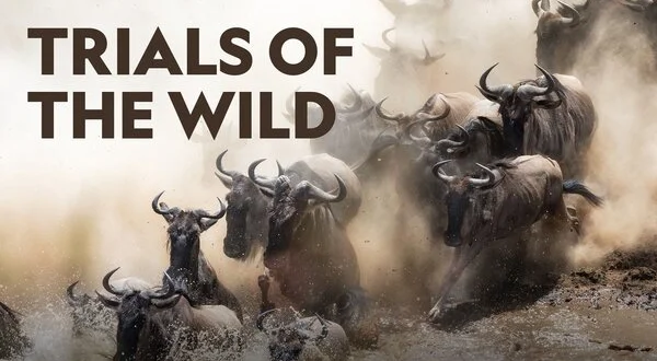 Trials of the Wild