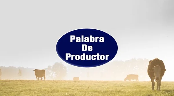 Palabra de productor