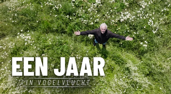 Een jaar in vogelvlucht