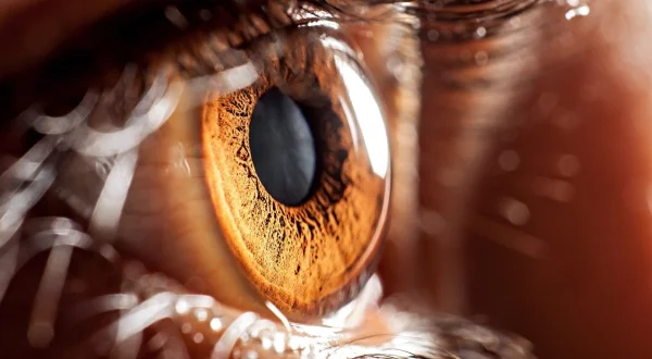 Avec les yeux de Morgane