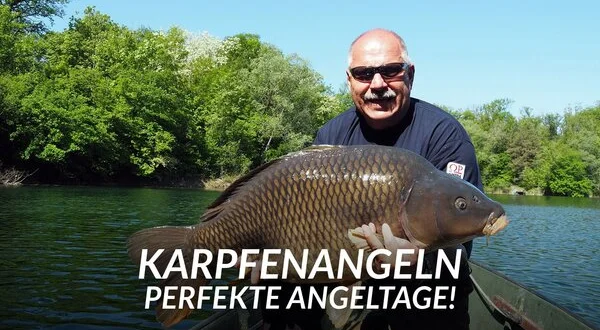Karpfenangeln - Perfekte Angeltage!