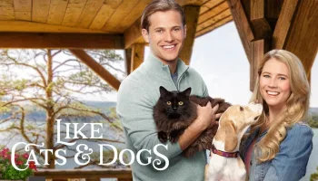 Like Cats & Dogs