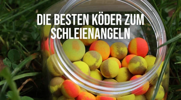 Die besten Köder zum Schleienangeln