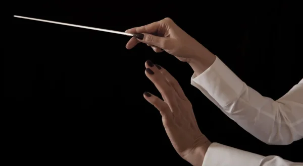 Wenzel Fuchs, Elena Bashkirova - Brahms : Sonate pour clarinette et piano n° 2