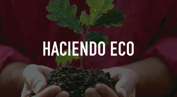 Haciendo eco