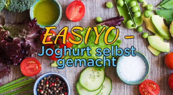 EASIYO - Joghurt selbst gemacht