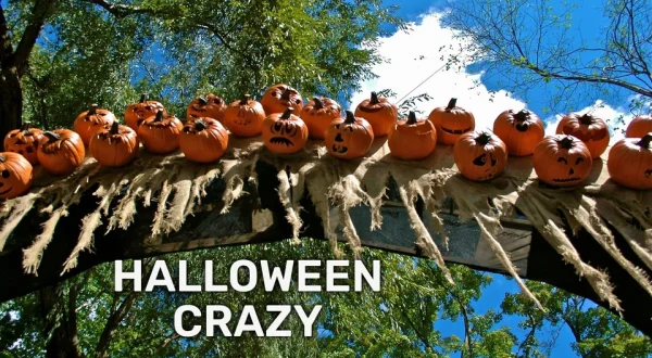 Halloween Crazy