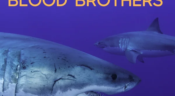 Isle of Jaws: Blood Brothers