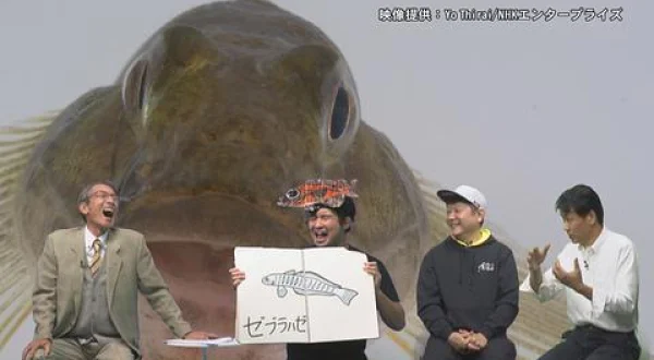 熱愛！サカナ図鑑 9 ～ハゼ～